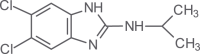 5,6-Dichloro-2-(isopropylamino)benzimidazole